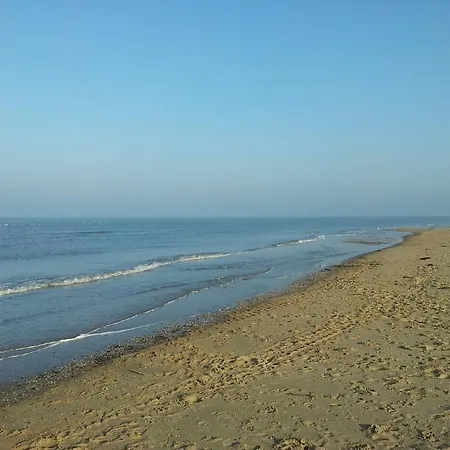 Beachlife *